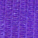 Fialová